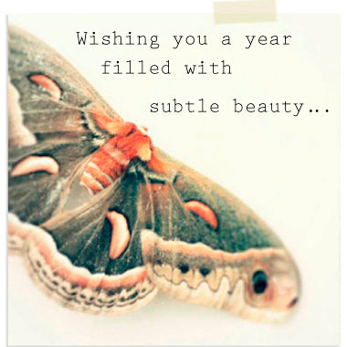 2013: Shibumi is 8!