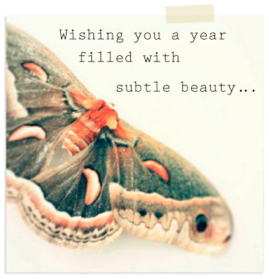 2013: Shibumi is 8!