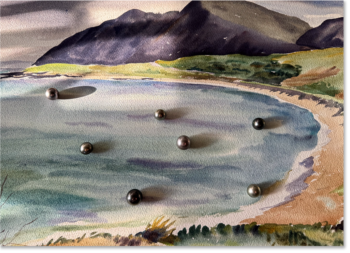The Music of The Pearl // Shibumi Group Show