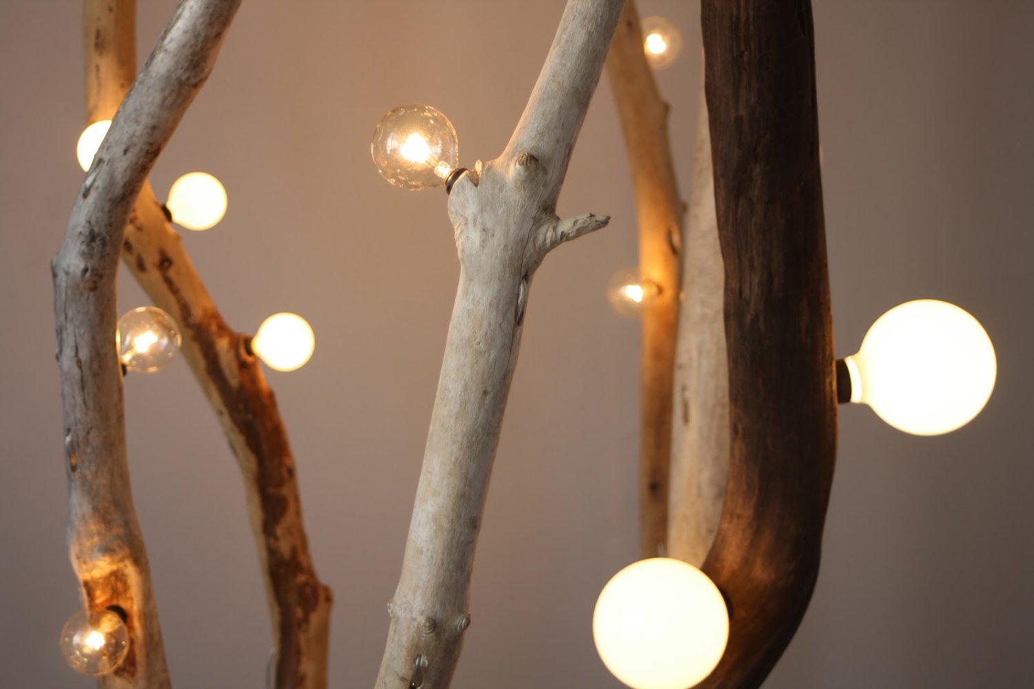 Singular, Organic, Illuminated: Conversations With Anzfer Farms