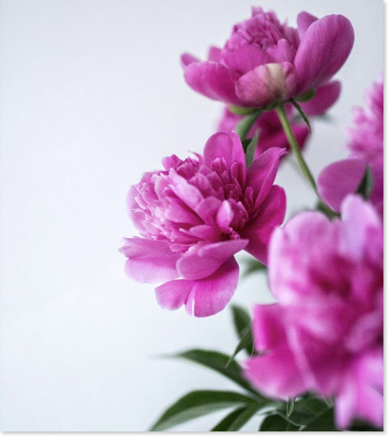 We are taking the month of May to celebrate Mothers!