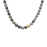 Round Tahitian Pearl Necklace with 14k Gold Bead and Toggle Clasp with Grey Diamonds