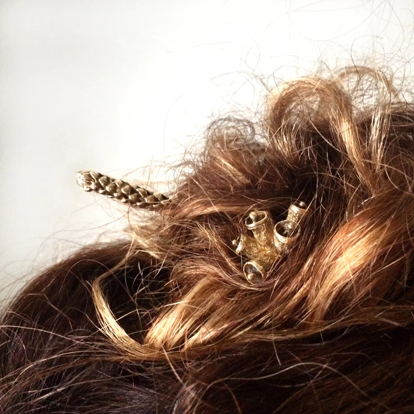 Araucaria Hair Stick in Yellow Bronze