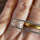CUSTOM OMC Light Champagne Diamond Ring in 18k Warm White Gold