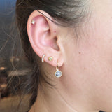 Salt and Pepper Rosecut Diamond Dangle Earrings in 18k Gold