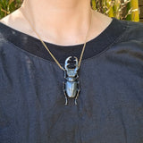 Stag Beetle Necklace on Oxidized Silver Chain