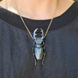 Stag Beetle Necklace on Oxidized Silver Chain