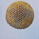 Golden Hive II