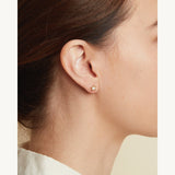 Solitaire Diamond Studs in 14k Yellow Gold