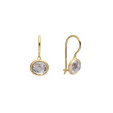 Salt and Pepper Rosecut Diamond Dangle Earrings in 18k Gold