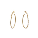 Oval Hoop Post Earrings in 14k Yellow Gold With Champagne Diamonds