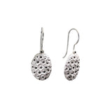 Kame Earrings in Brushed Silver and Black Diamonds
