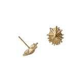 Tiny Limpet Post Earrings in 10k Yellow Gold