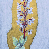 Orchids of Cyprus II