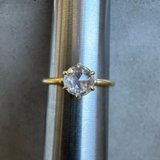 Rose Nouveau Solitaire Solitaire Ring in 18k Yellow Gold