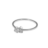 Sugar Babe Ring in Silver