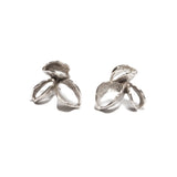 Banksia Post Earrings in Silver