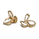 Banksia Post Earrings in Yellow Bronze