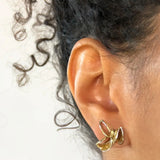 Banksia Post Earrings in Yellow Bronze
